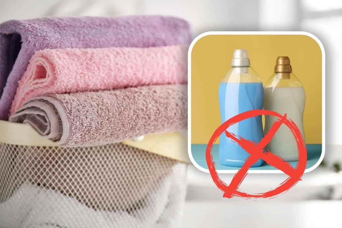 Cosa usare al posto dell'ammorbidente per asciugamani soffici
