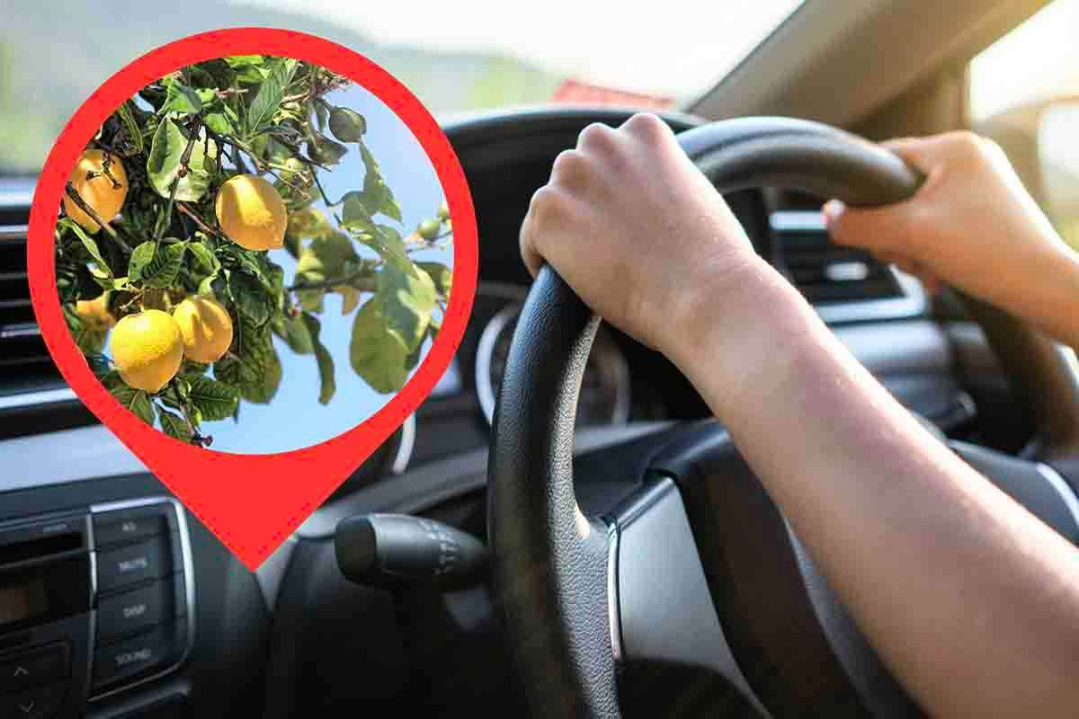 Perché si dovrebbe avere un limone in macchina